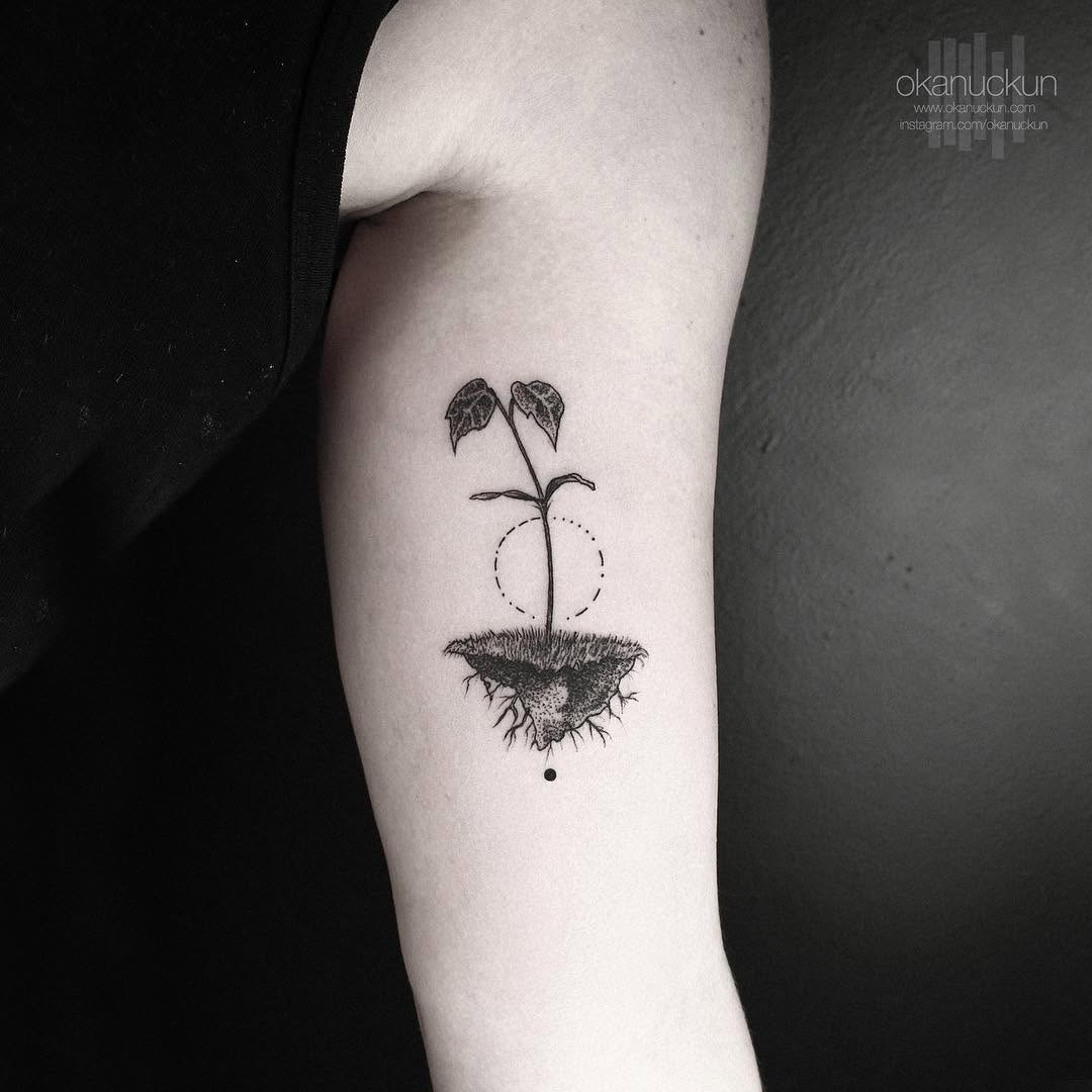 Flower, Rose, 아이리스