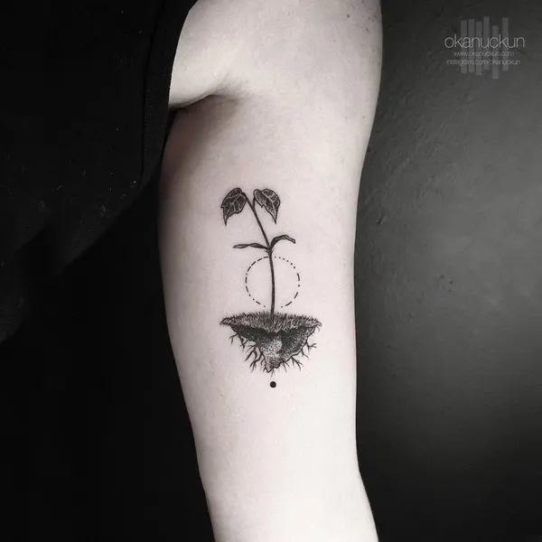 Flower, Rose, 아이리스