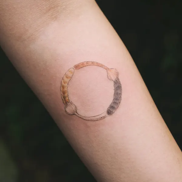 초승달, 일식, 원