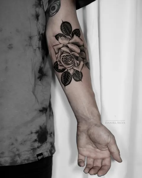 Rose, Flower
