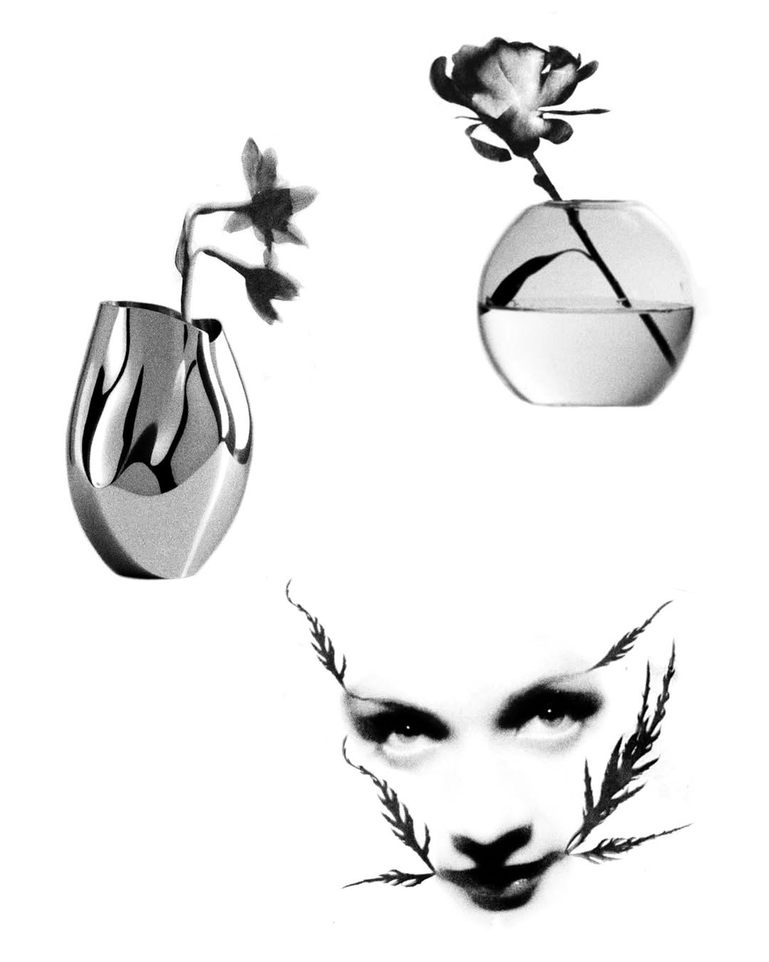 plantsnpokes