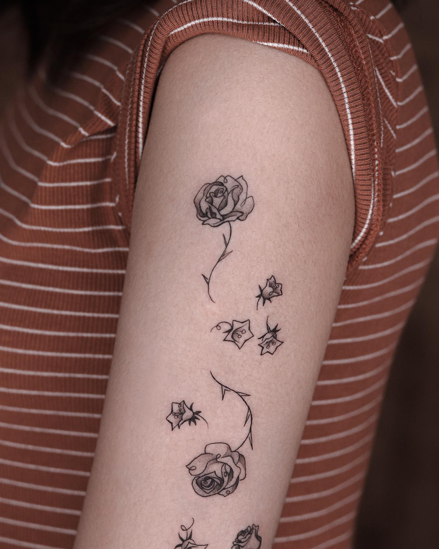 Flower, Rose