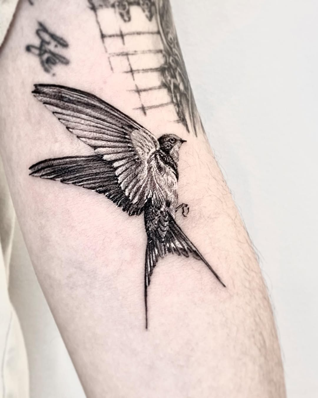 tattooist_bk