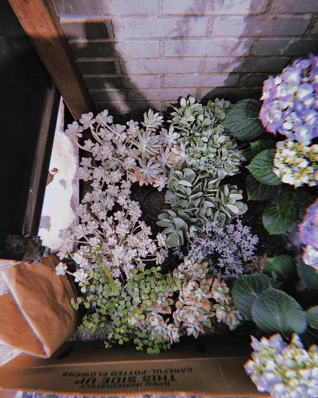 fflowerporn