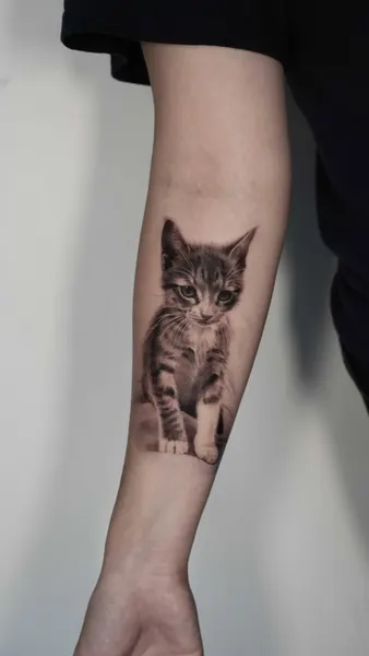 Animal