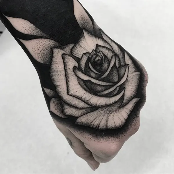 Flower, Rose