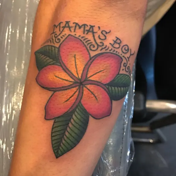 Flower, Rose