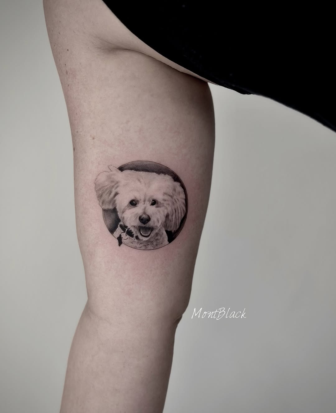 Animal, Mini