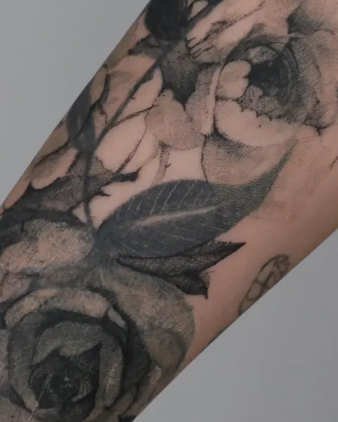 Flower, Rose