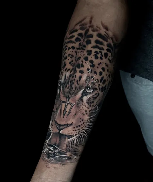 Animal