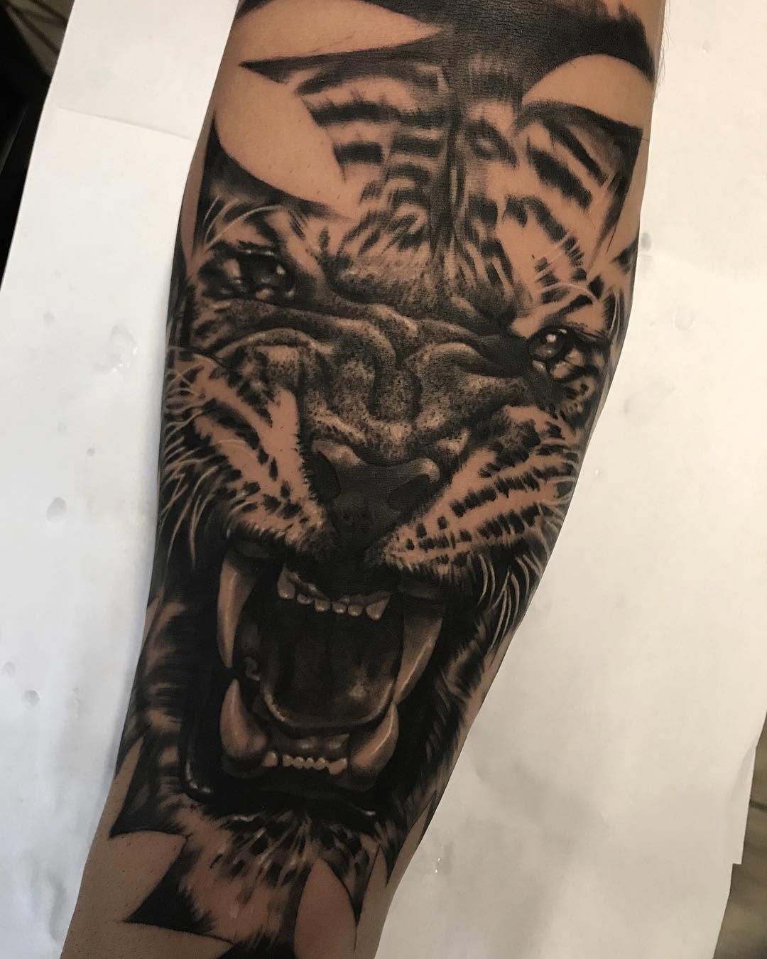 Tiger
