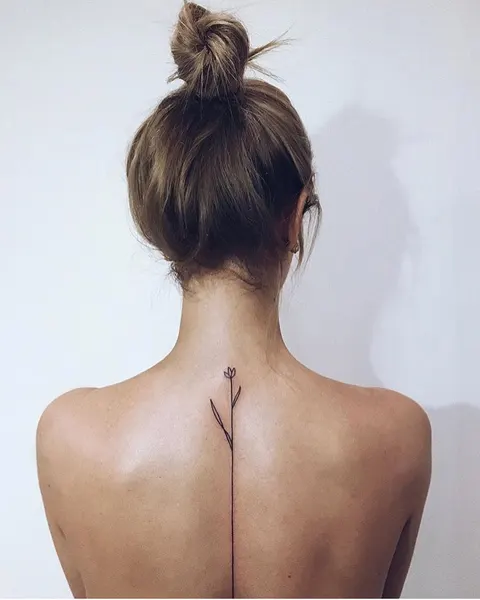 equilattera