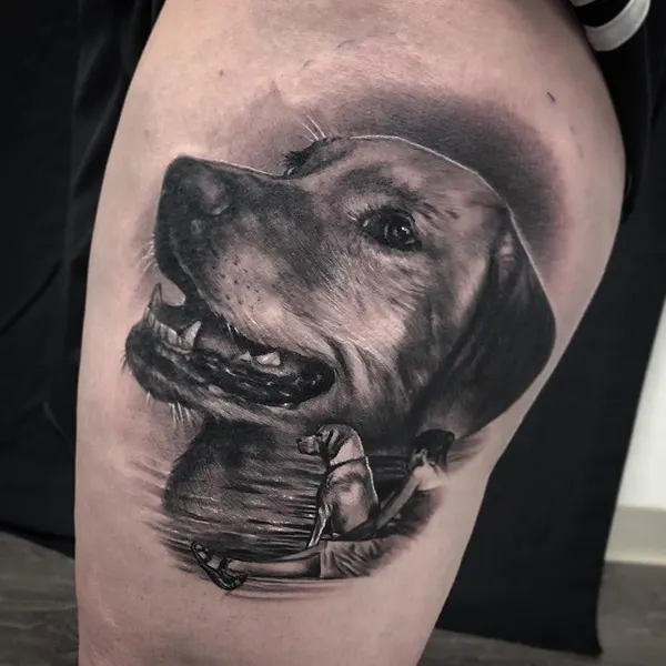 Animal