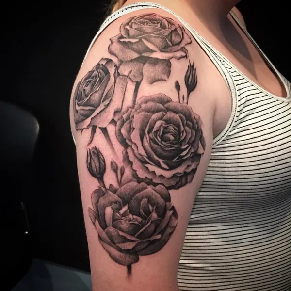 Flower, Rose, Nature