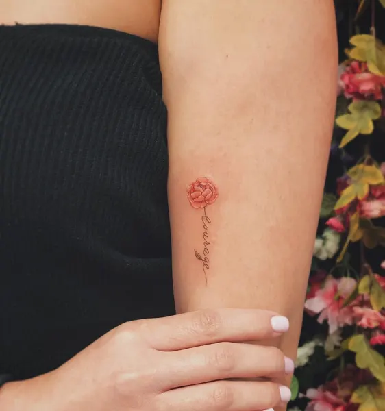 Flower, Rose