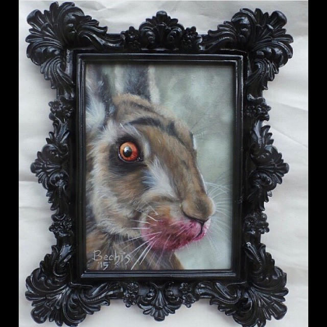 Animal