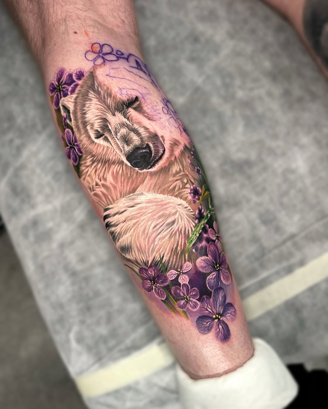 Animal