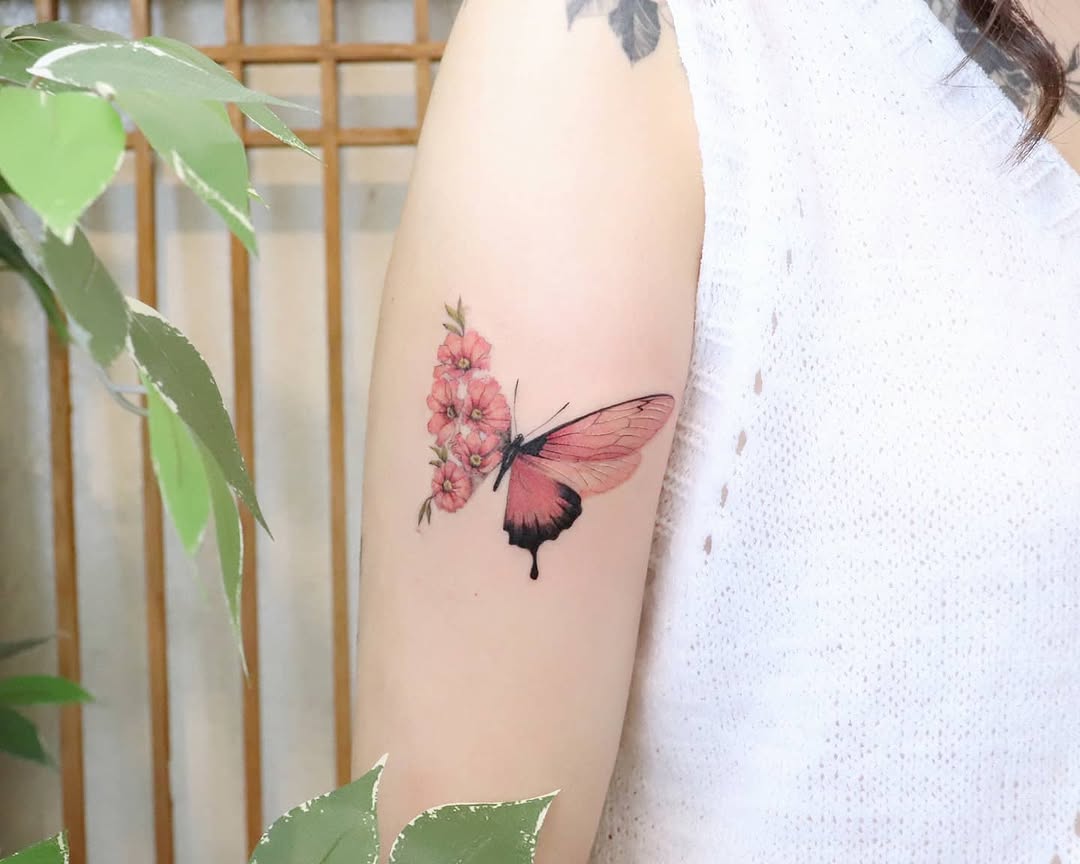 Animal, Nature