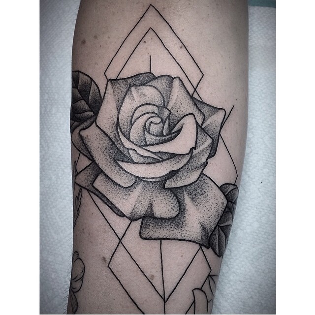 Flower, Rose