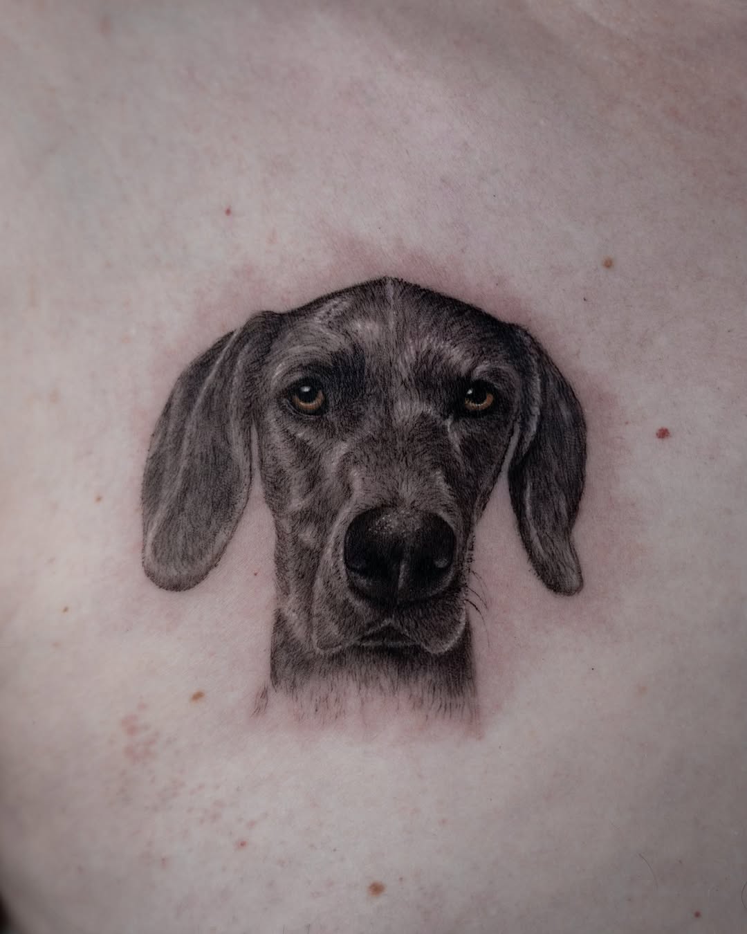 lewis.tattoo