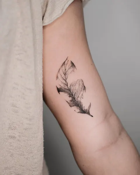 Flower, Rose, Nature