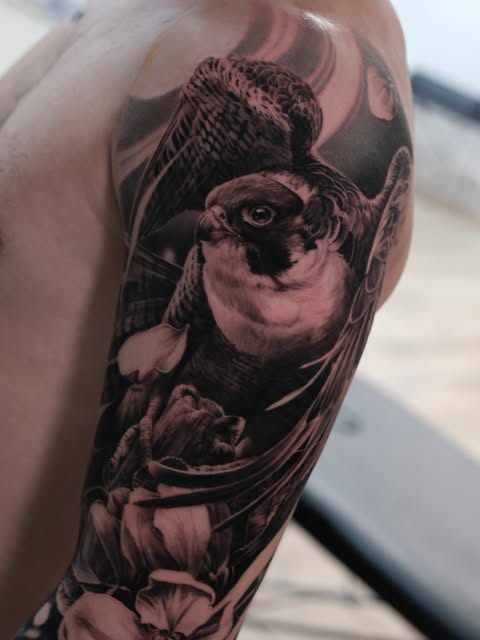 Animal