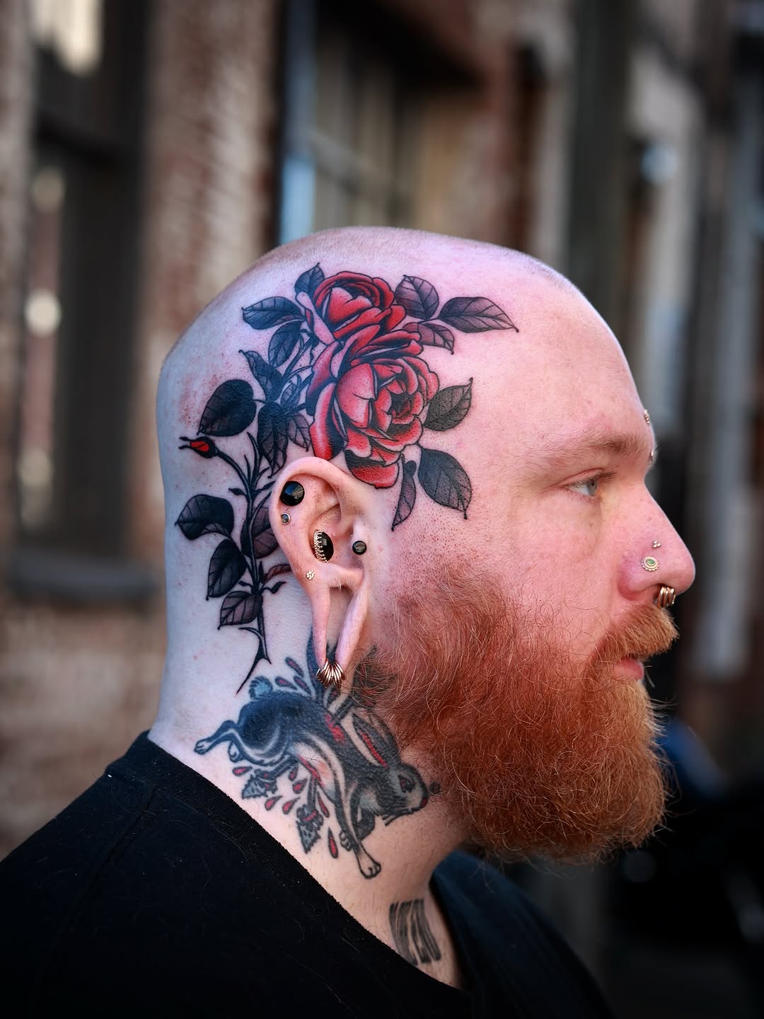 Rose, Flower