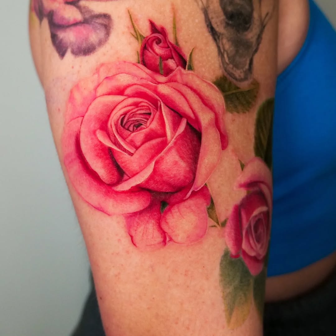 Flower, Rose, Nature