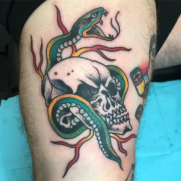 coiled_snake