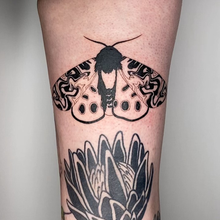 plantsnpokes
