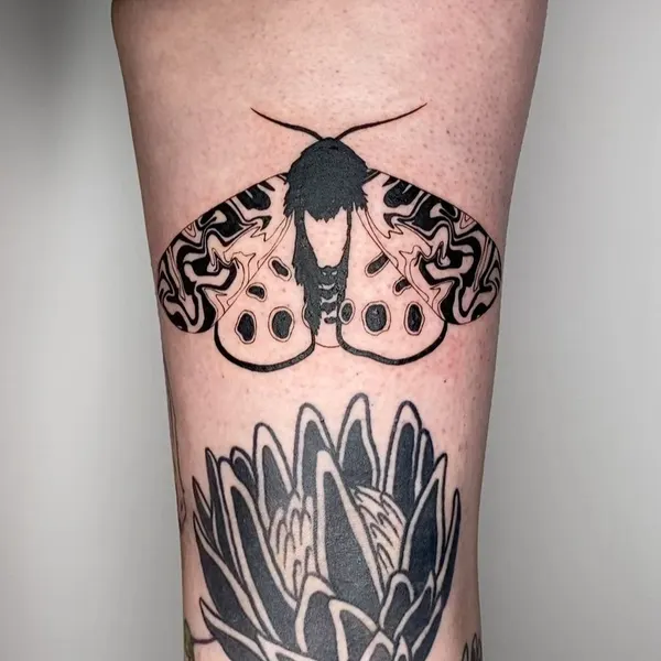 Animal, Nature, Flower