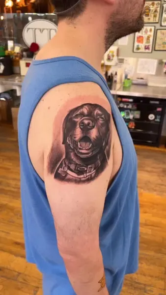 Animal