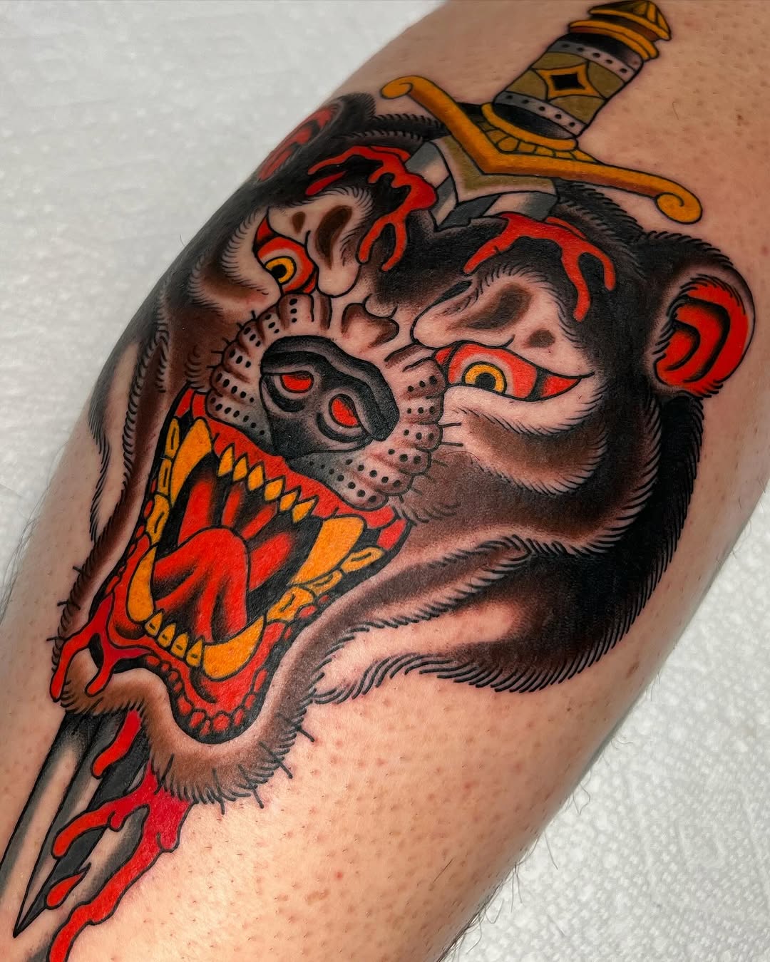 Animal, Tiger