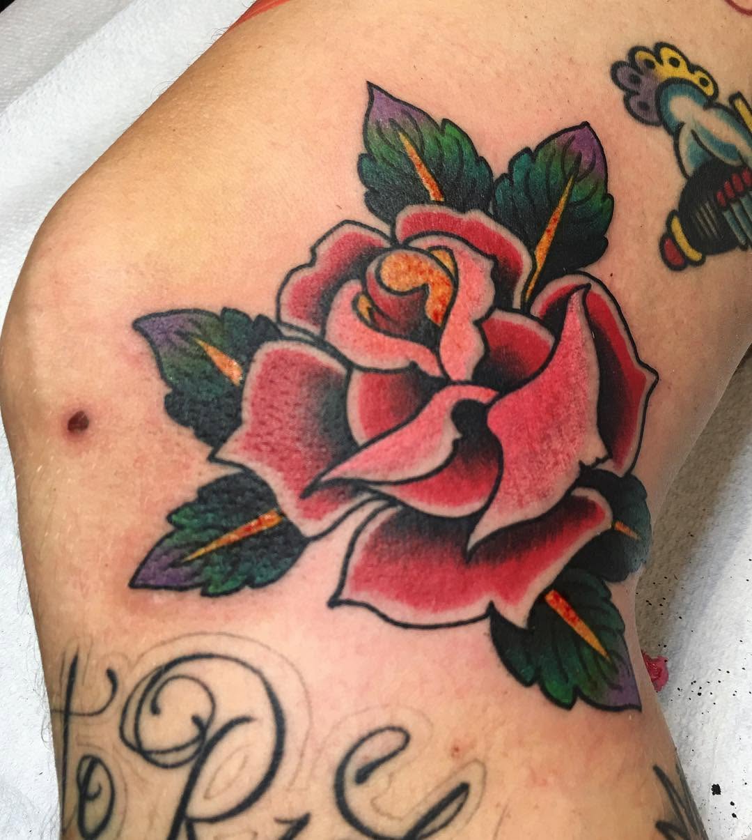 Flower, Rose
