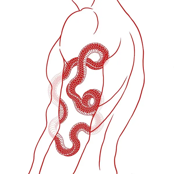 Dragon, Snake