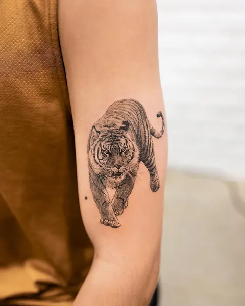 Tiger
