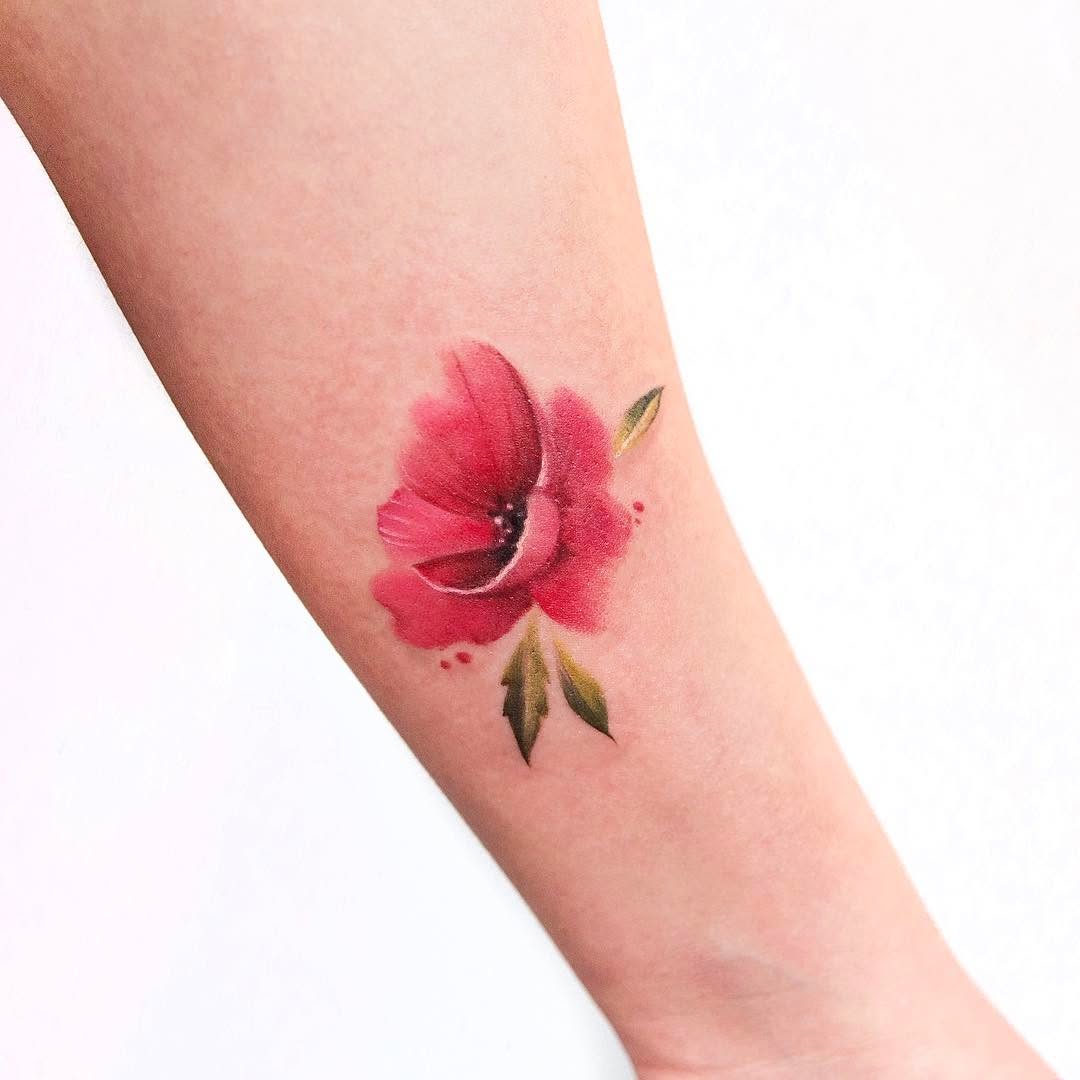 Flower, Rose, 양귀비