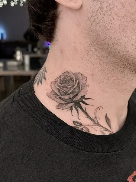 Flower, Rose, Nature