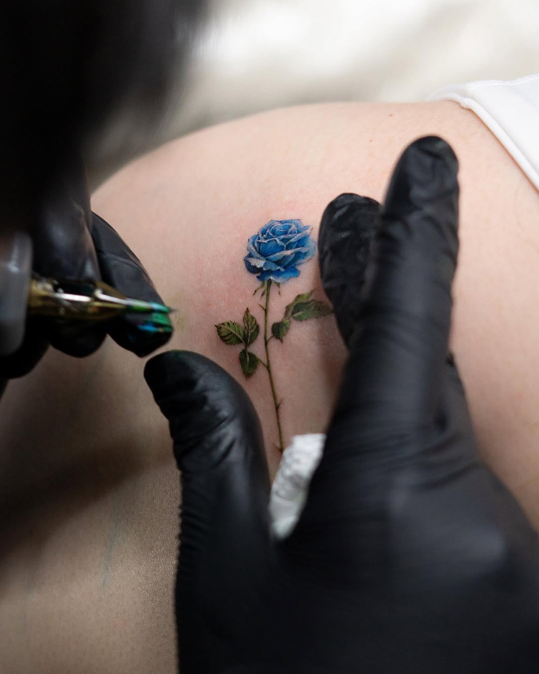 Rose, Flower