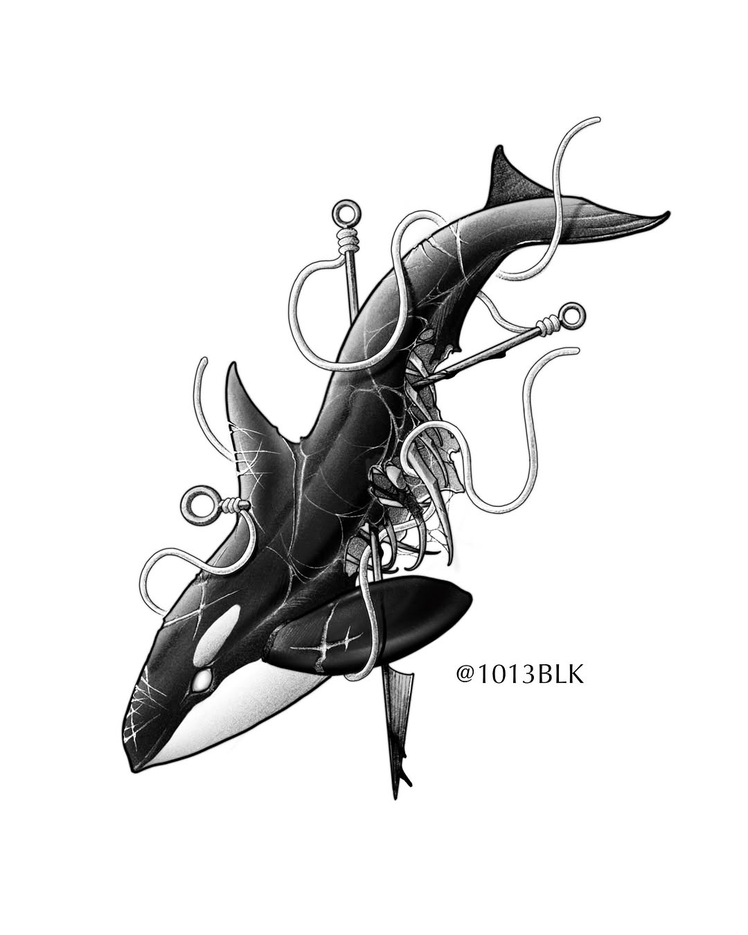 1013blk