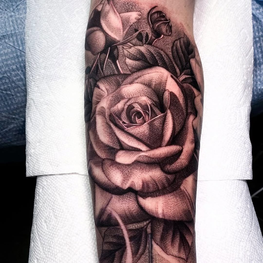 Flower, Rose