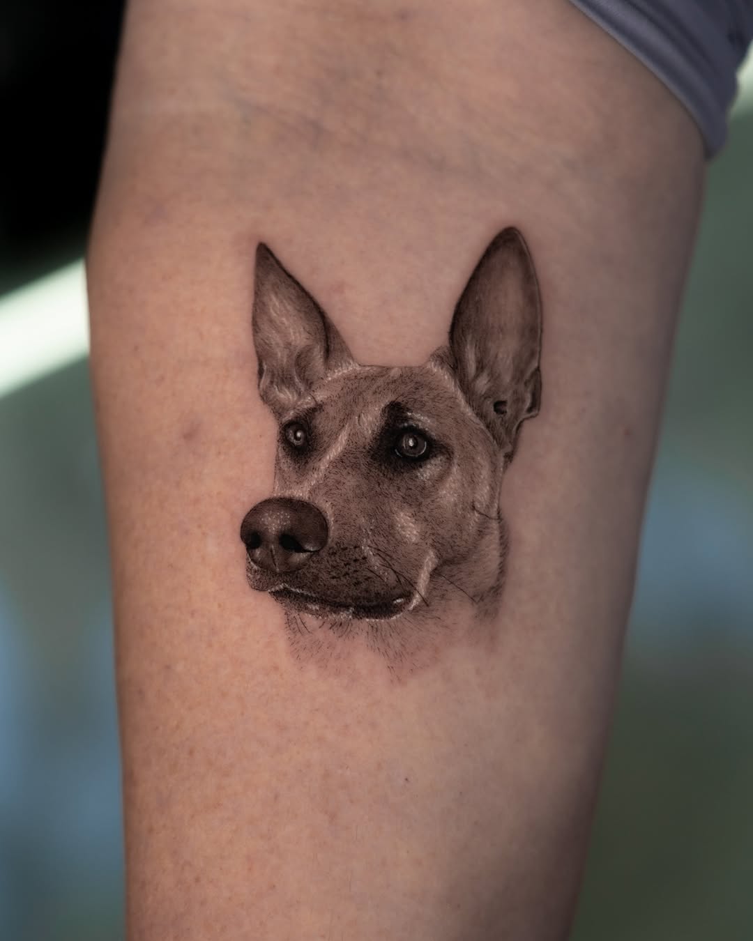 lewis.tattoo