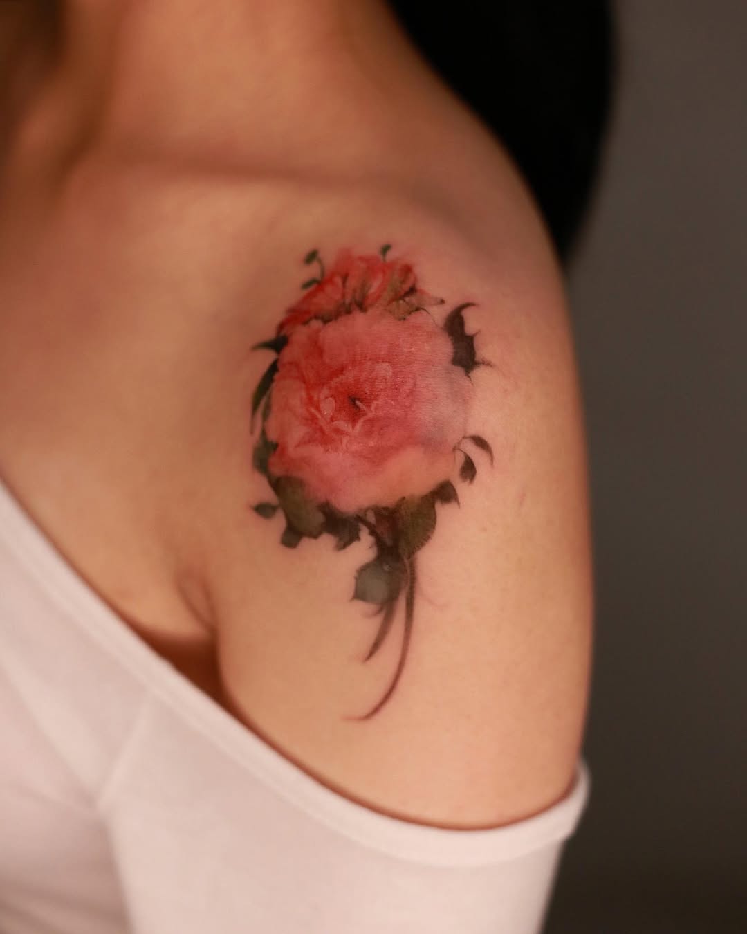 Flower, Rose, Nature