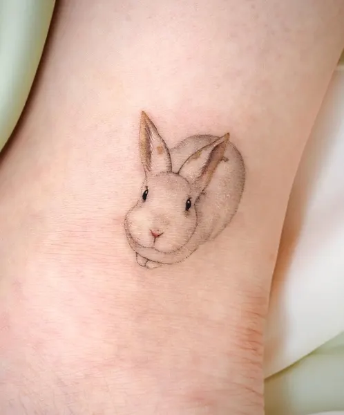 토끼, Animal
