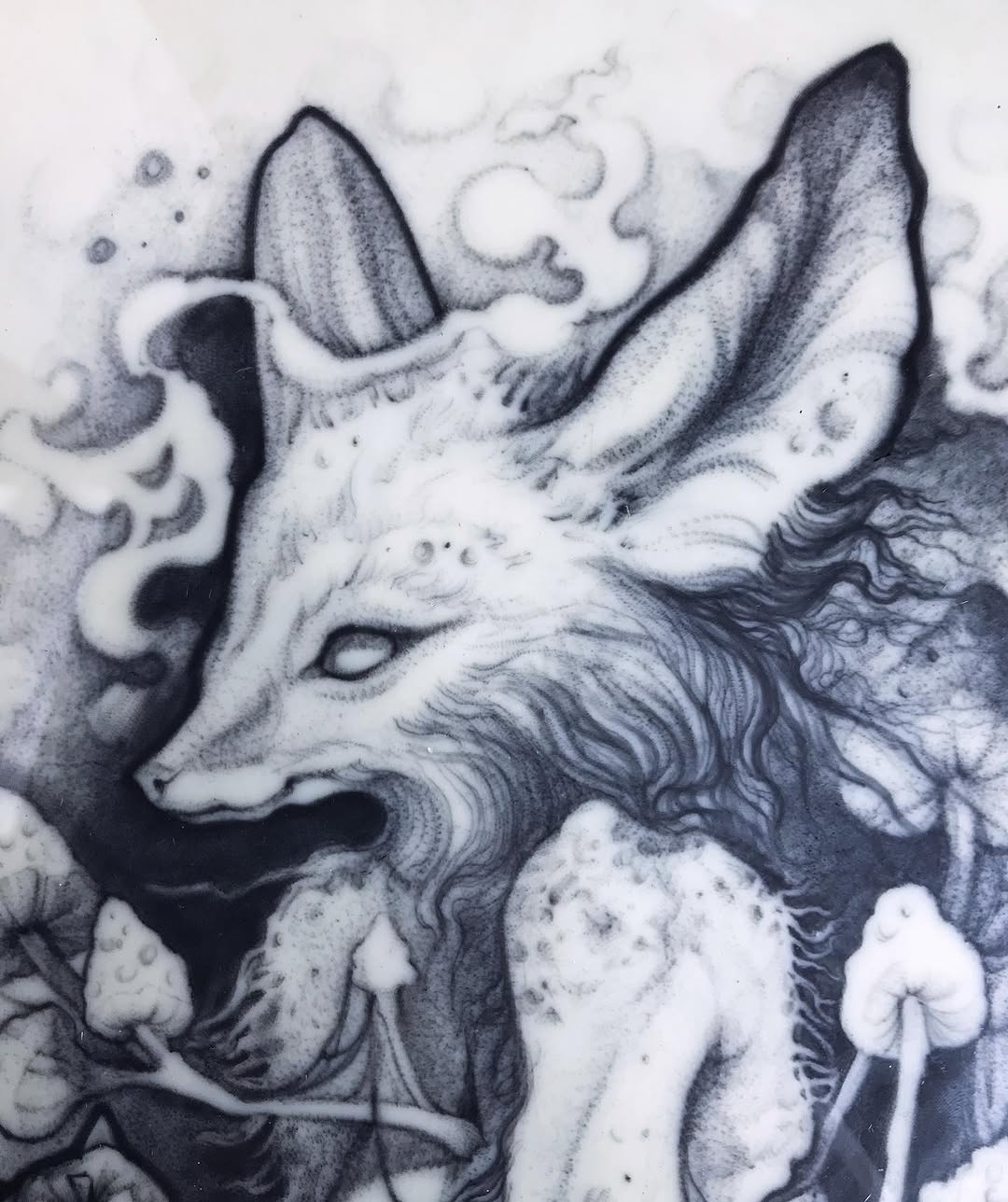 Animal, 다람쥐
