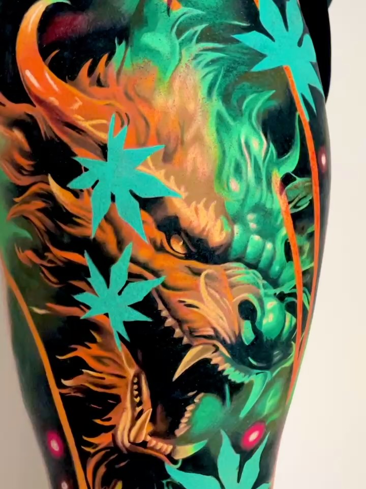 드래곤 라이더, Dragon, 일본 용, 한국 용