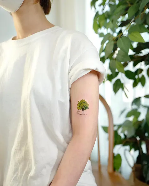 Nature, 나무, 소나무, 숲