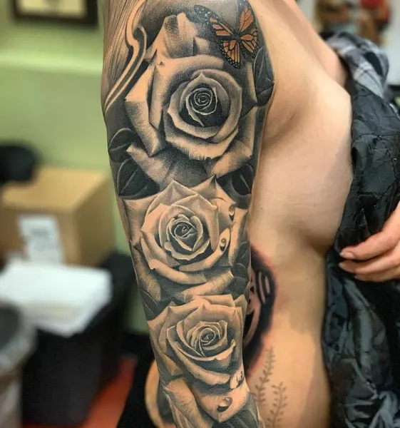 Flower, Rose, Nature