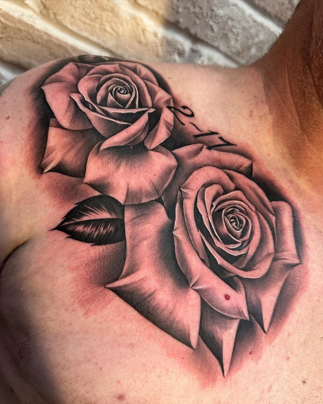 Flower, Nature, Rose
