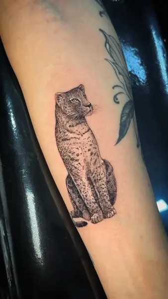 Animal, Tiger